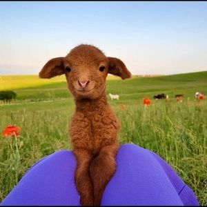 Meet your Posher, Ekaterina